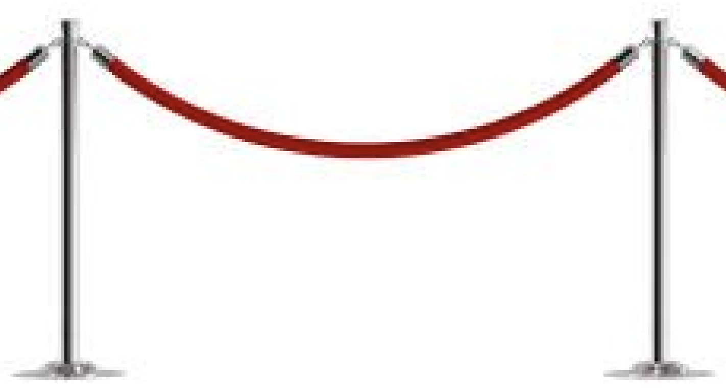 BR-200 VİP Protokol Bariyer görseli